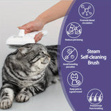 Antistatic Steam Brush