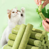 Cat Grass Teething Stick