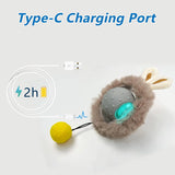 Cat Toy with Rabbit Ears and Bird Sound