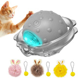 Cat Toy with Rabbit Ears and Bird Sound