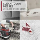CleanSlate Plus Carpet and Upholstery Spot Cleaner