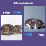 Antistatic Steam Brush