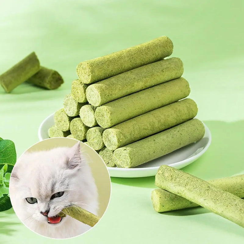 Cat Grass Teething Stick